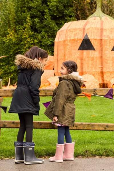 Pumpkin Picking Near Manchester: The Best Pumpkin Patches to Visit This Autumn 2026