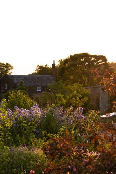 Summer Music Sundays & After-Hours events  return to RHS Garden Bridgewater