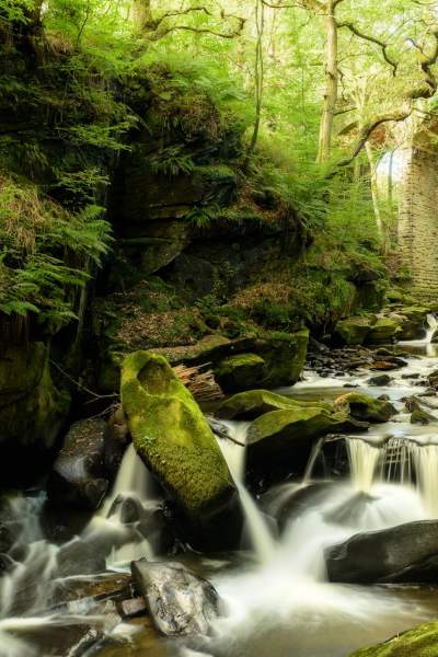 11 of Greater Manchester's favourite walking trails