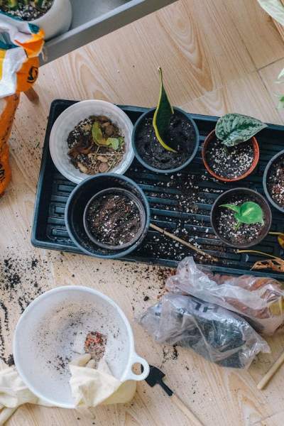 Exploring Volunteering Opportunities and Community Spaces in Greater Manchester