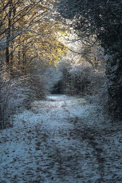 Best Boxing Day Walks in Greater Manchester