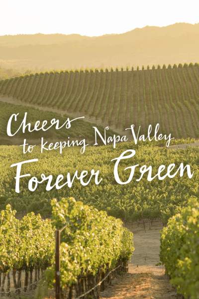 Sustainable Travel  Keeping Napa Valley Forever Green