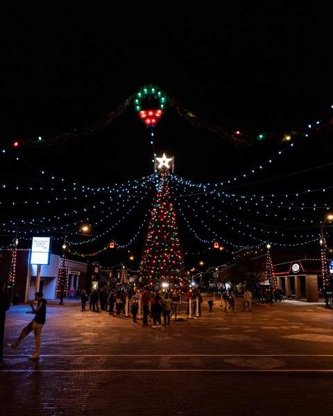 Christmas Tree Tips & Ideas - Abilene Scene