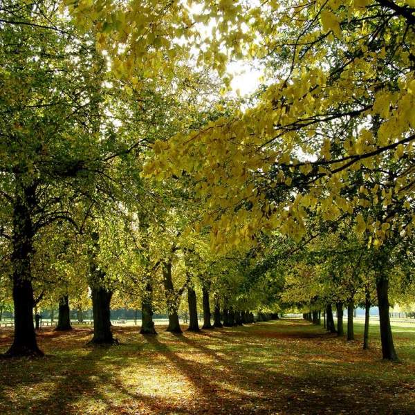 Coventry Parks