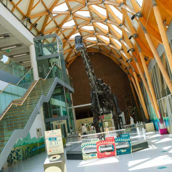 Dinosaur Summer 2025