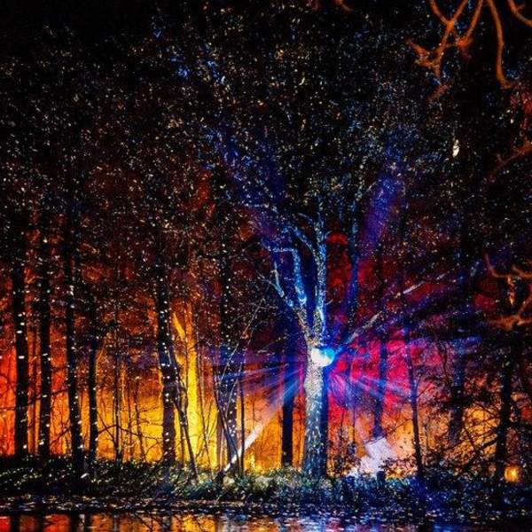 Discover the Magic of Christmas in Coventry: Your Ultimate 2025 Guide