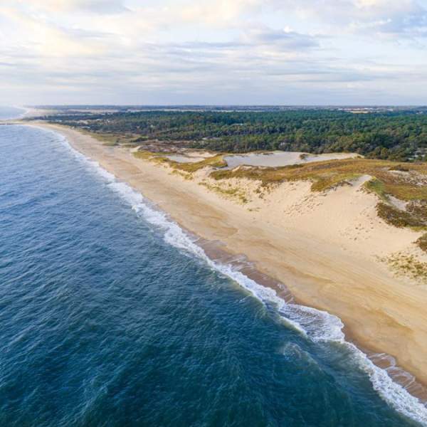 Delaware Seashore State Park aerial view