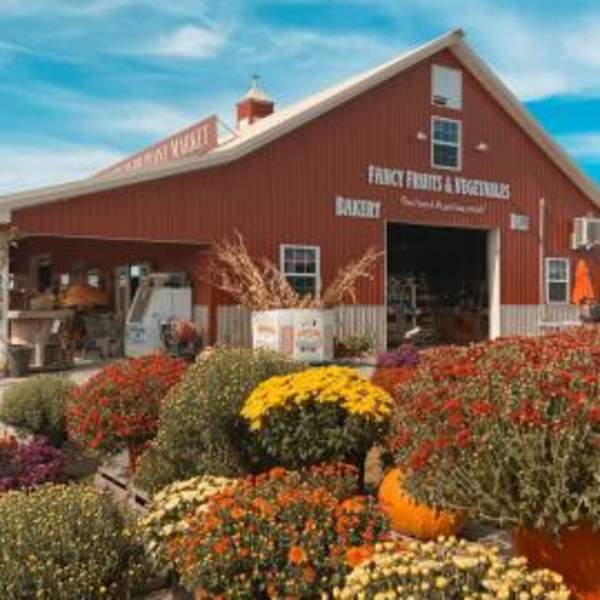 T.A. Farms Orchard Point Market Barn and Mums