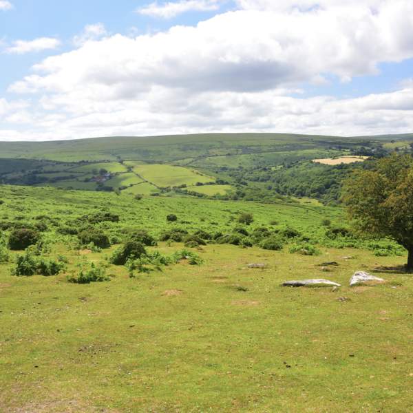 Yelverton