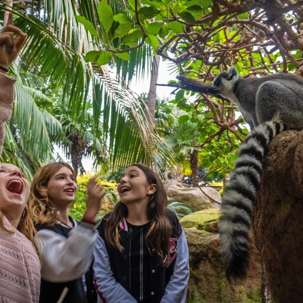 Actividades para niños y familia