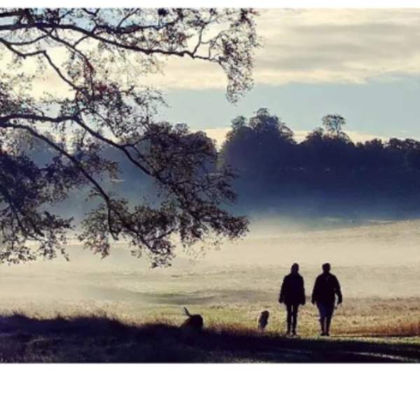 Autumn Walk in Petworth Park