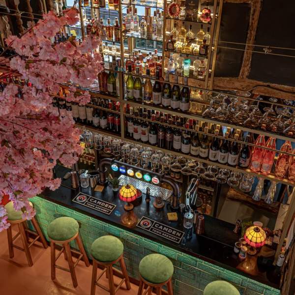 the bar at Turkuaz Social, Chichester