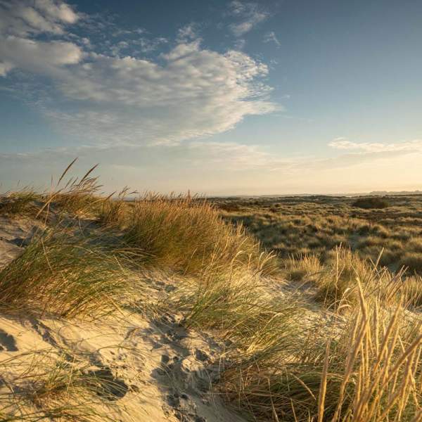 Dunes at East Head, West Wittering