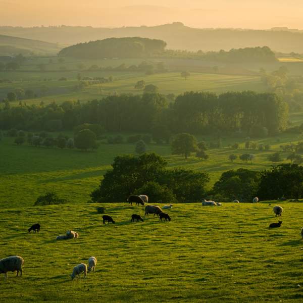 Shillings Valley, South Downs National Park
