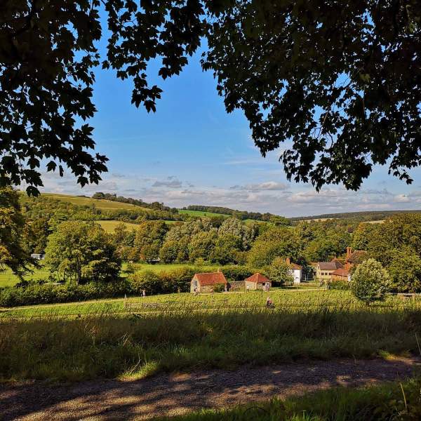 A view of Weald & Downland museum in Summer