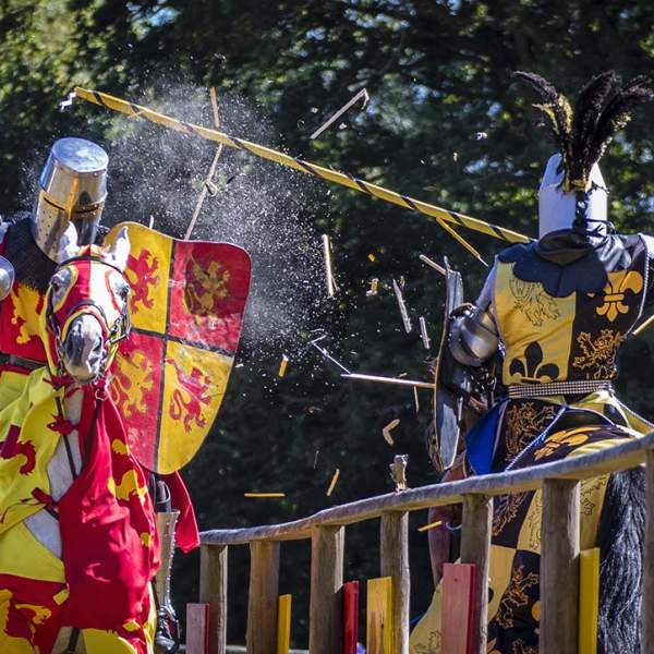 Knights and horses at The Loxwood Joust