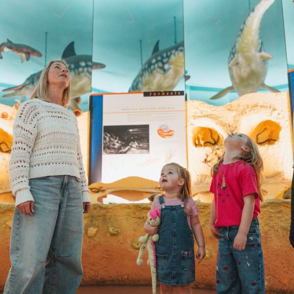 Hull Summer Family Events Calendar 2026 | Things to Do with Kids this July