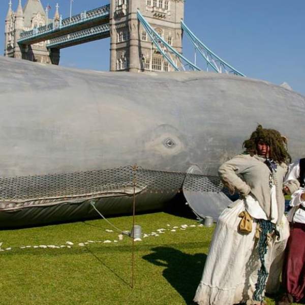 Hull Maritime Summer Festival 4