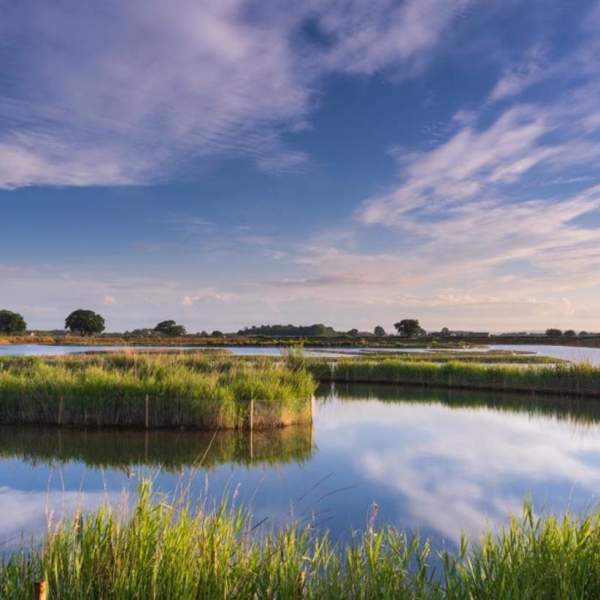 Dramtic shot of North Cave Wetlands. The water is reflcing the cloud in the sky and the striking green of the marsh grasss