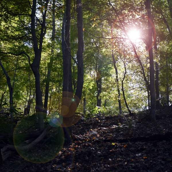 Walking Terrace Mountain Trail