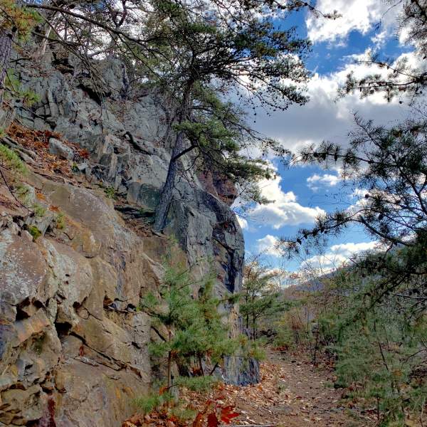 View along the Standing Stone Trail