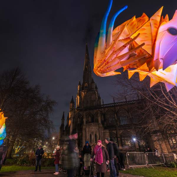people stood in front of a cathedral at night with light installations in the foreground