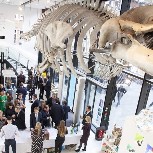 Whale Hall at the University of Cambridge’s Museum of Zoology