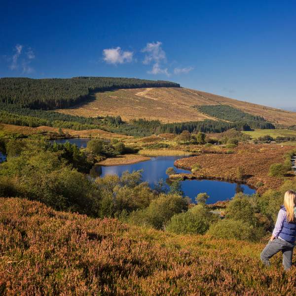 Walking Challenges in Northern Ireland