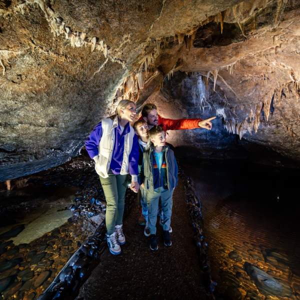 Family enjoying a tour of the underground caves at Marble Arch Caves, looking at stalactites.