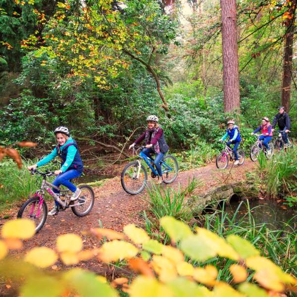 Family cycles through autumnal forest at Blessingbourne Estate