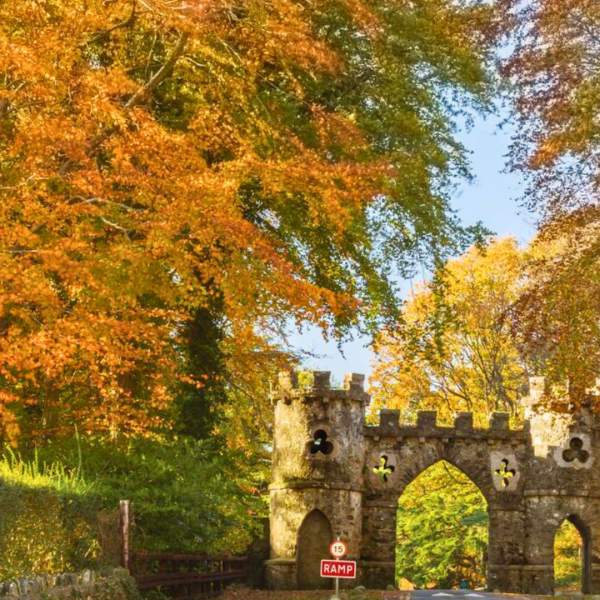 Autumn Walks In Northern Ireland