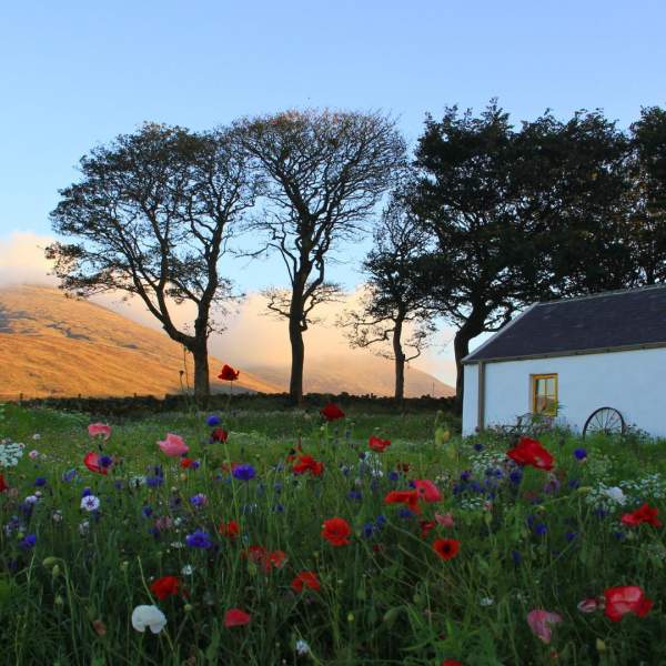 Accommodation in County Down Hotel