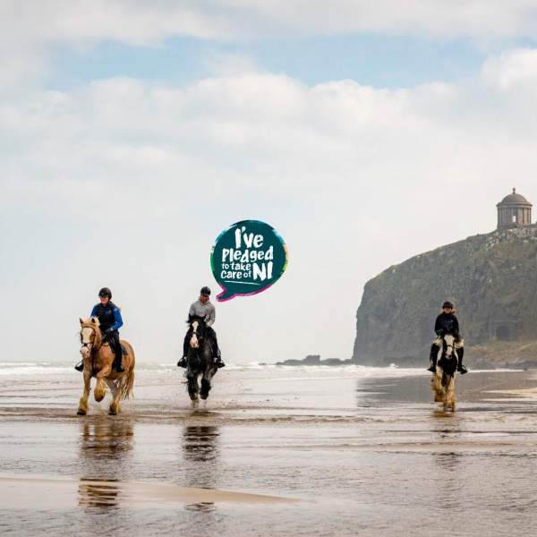 Pledge Friends Beach Horses