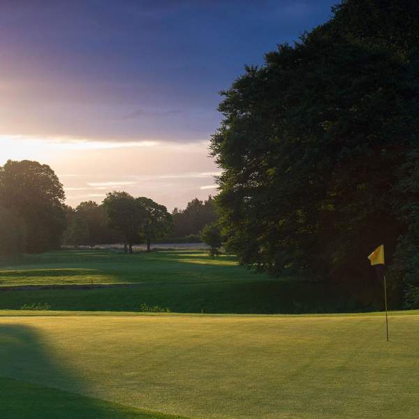 Sun shining through a tree over a green at the Galgorm Castle Golf Club