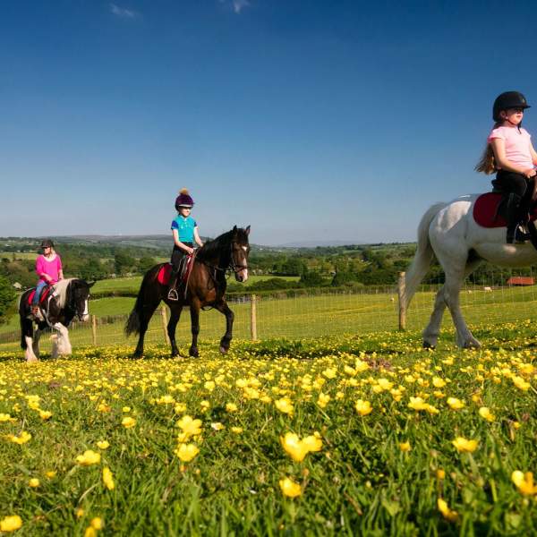 family horse riding with Slow Adventure NI over a field of buttercups