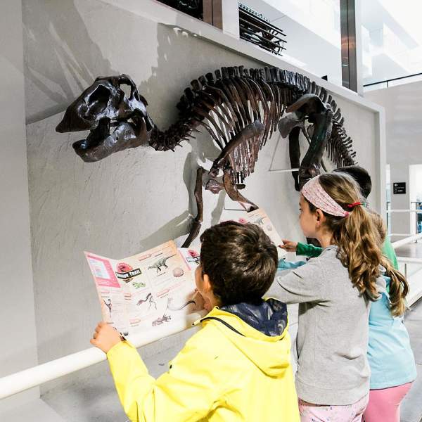 Visitors enjoying the Edmontosaurus dinosaur; the only real near complete dinosaur skeleton display at the Ulster Museum, Belfast.