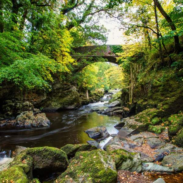 Stream and rugged bridge at Roe Valley Country Park, Limavady