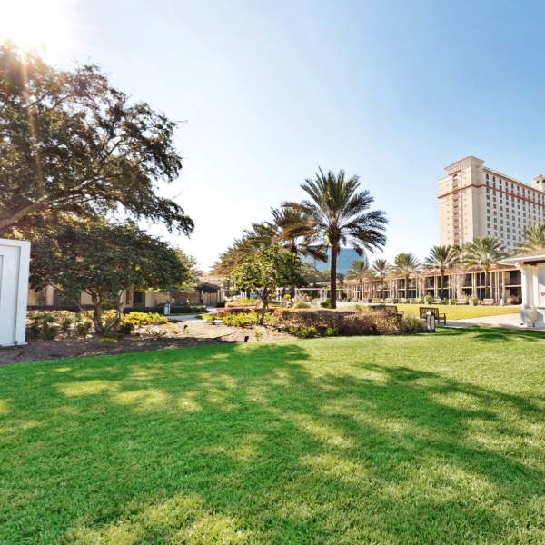 Exterior and grass at DoubleTree by Hilton Orlando at SeaWorld