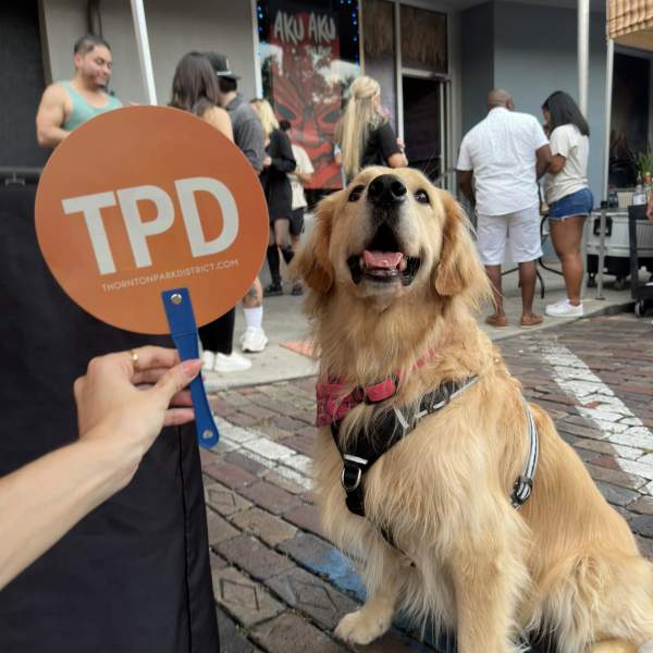 A dog outside of Aku Aku Tiki Bar in downtown Orlando's Thornton Park District.