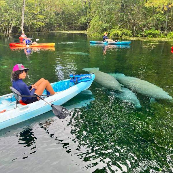 Discovery Kayak & SUP