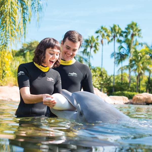 Discovery Cove wedding proposal with dolphin's help