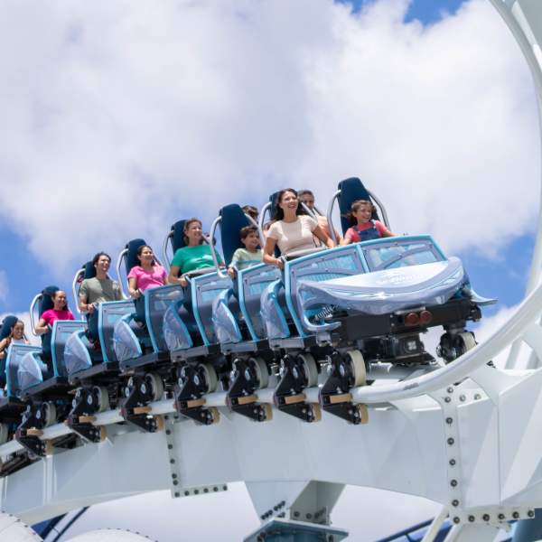 Penguin Trek Coaster
