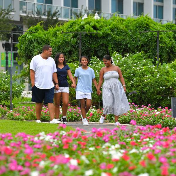 A family of four strolls through a garden