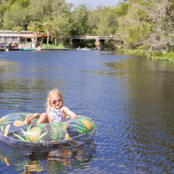 201539 - Wekiva Island