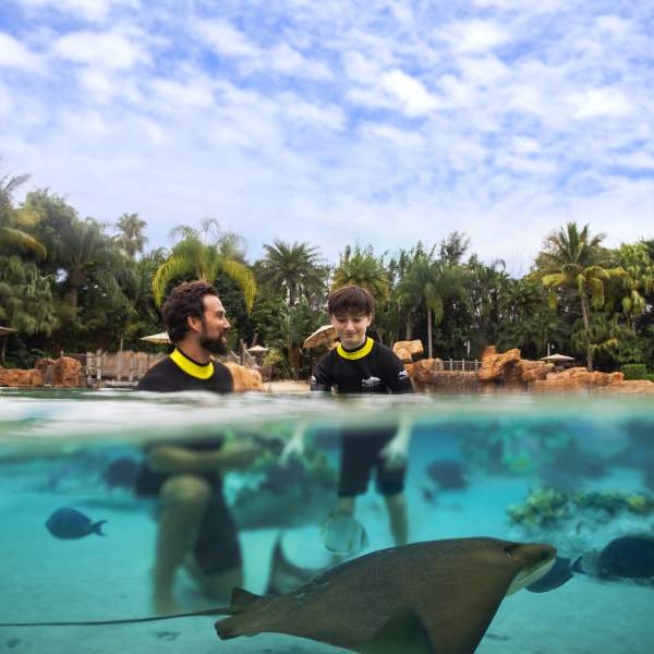 A father and son in the water with fish and rays at Discovery Cove