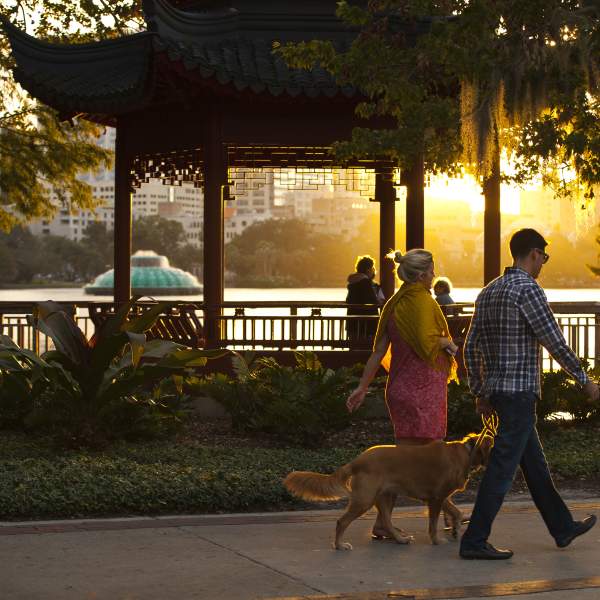 A couple walking their dog along Lake Eola with the fountain in the background