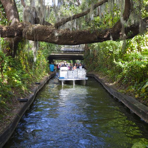 the boat steers through a canal on the Winter Park Scenic Boat Tour