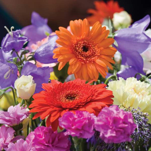 a bunch of colorful flowers