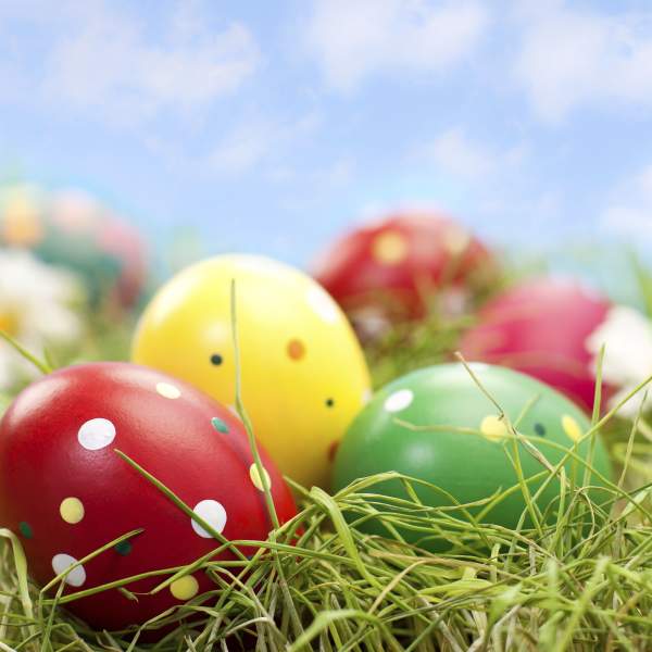 closeup of decorated easter eggs laying in the grass