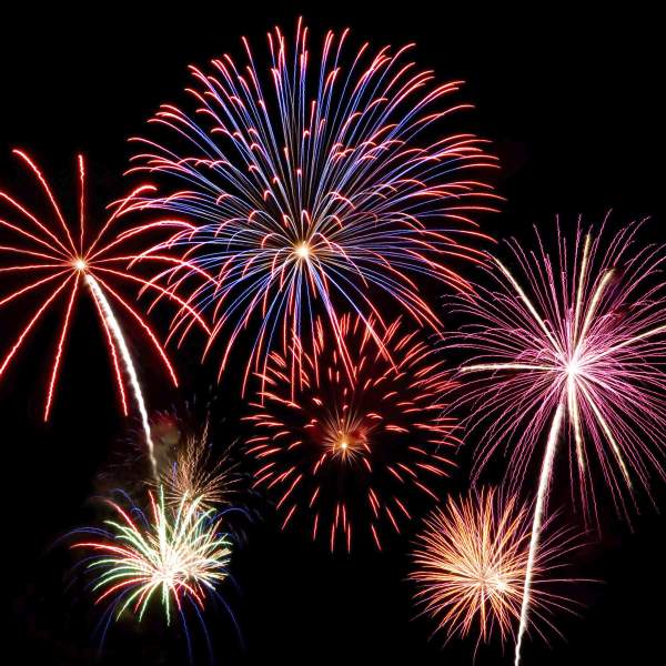 multicolored fireworks in the night sky